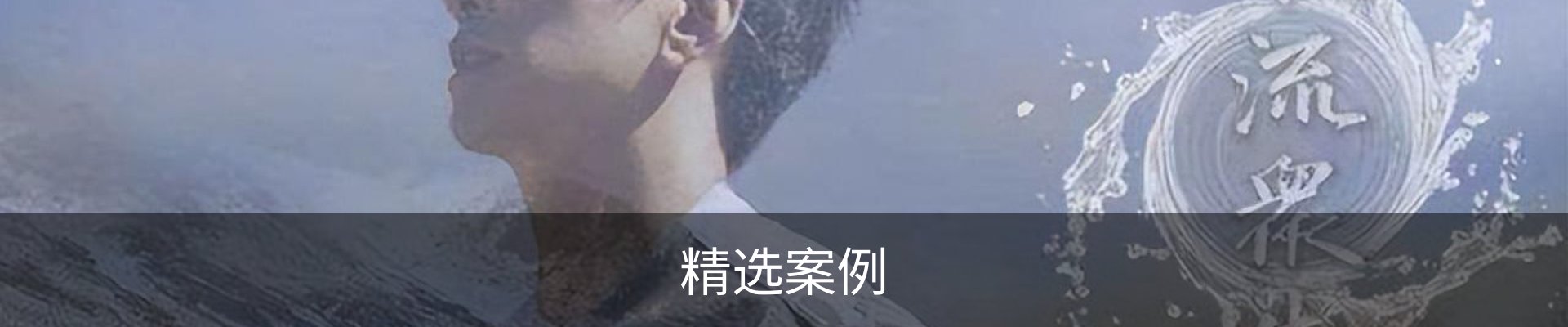 精选案例